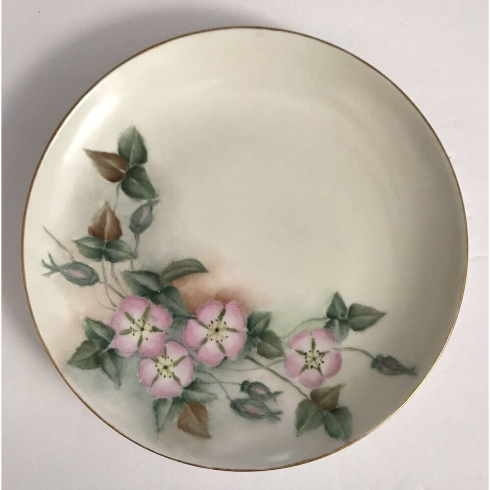 Hand Painted Morning Glory Plate Art by Honey Lee Limoges France Gold Rim G.A.H.
